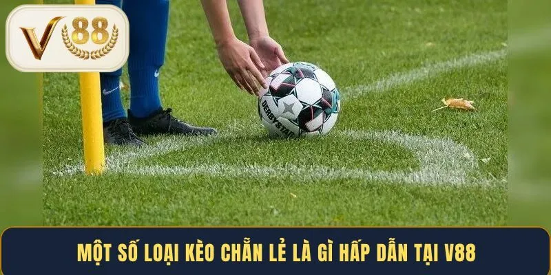 mot-so-loai-keo-chan-le-la-gi-hap-dan-tai-v88